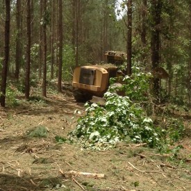 logging2