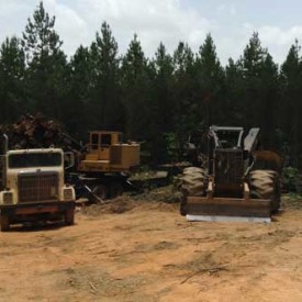 timber-company-heflin-alabama